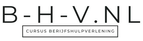 B-H-V.nl logo